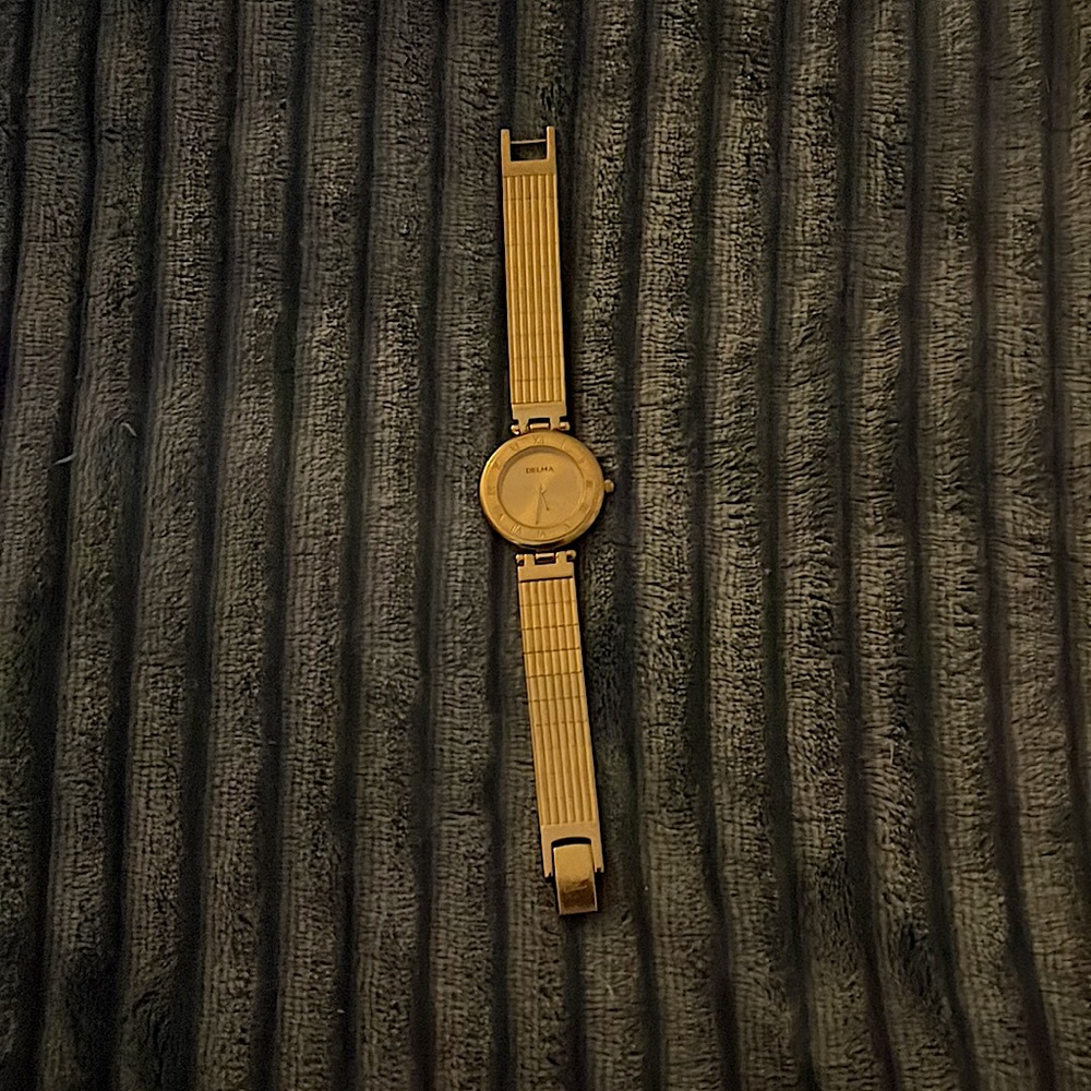 Delma luxury gold watch